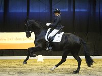 Desperado 201113_1564